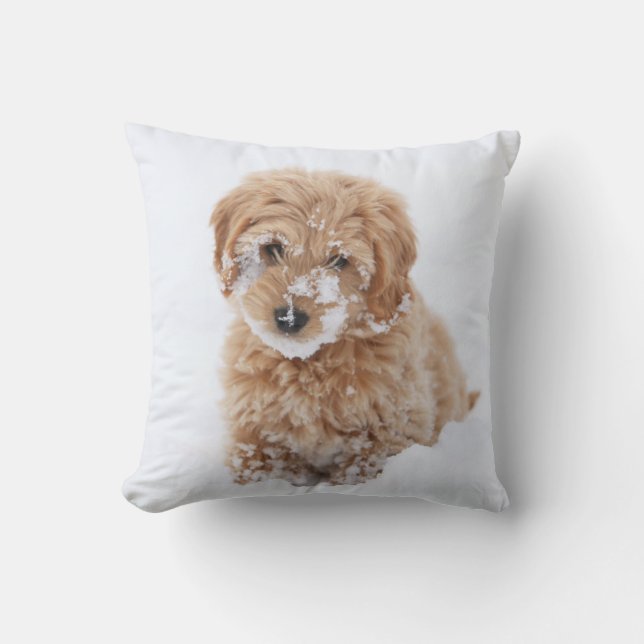 Coussin Chiot De Goldendoodle Avec La Neige À La Face (Recto)