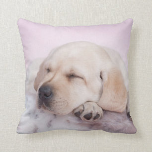 Coussin Chiot de Labrador