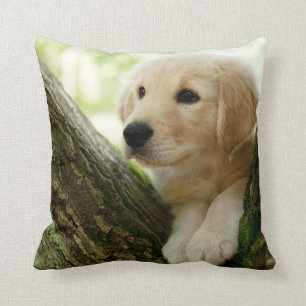 Coussin Chiot de Labrador se reposant dans un arrangement