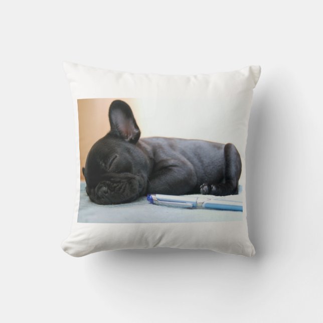 Coussin chiot de taureau français.png (Recto)