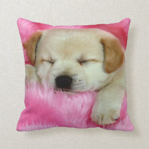 Coussin Chiot dormant sur le carreau rose
