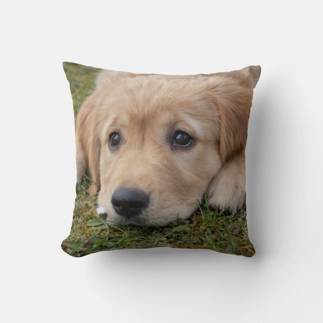 Coussin Chiot Mignon Chien (Recto)