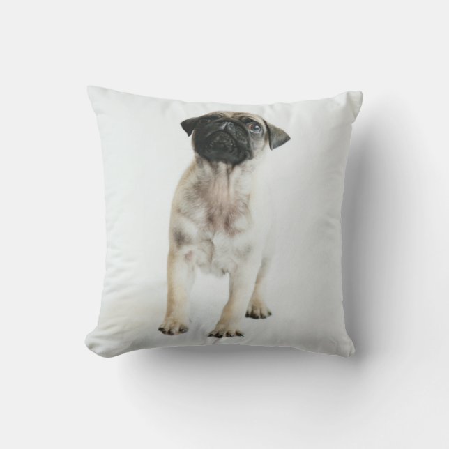 Coussin Chiot mignon de carlin (Recto)