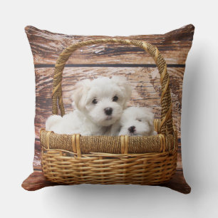 Coussin Chiots blancs dans une panier