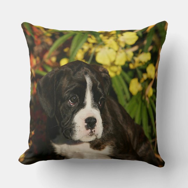 Coussin Chiots de boxeur (Recto)