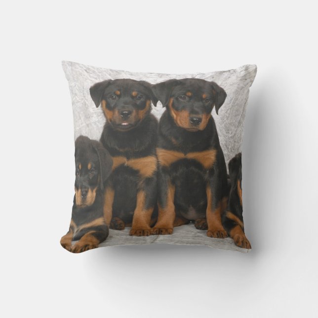 Coussin Chiots de rottweiler (Recto)