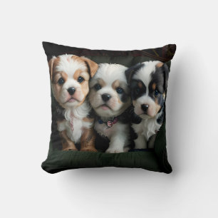 Coussin Chiots super mignons sur le canapé 2