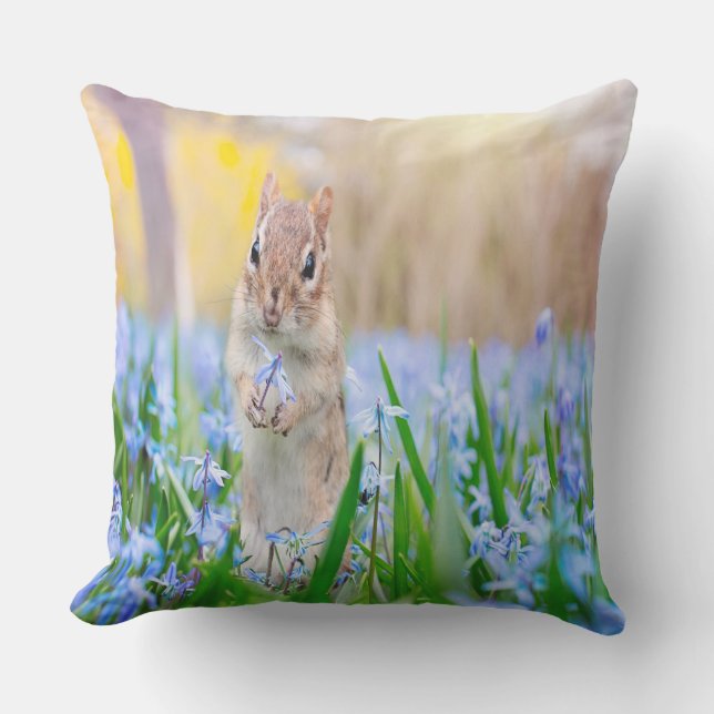 Coussin Chipmunk (Recto)