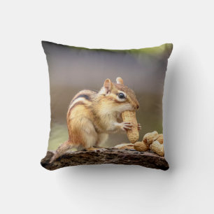 Coussin Chipmunk mange une cacahuète