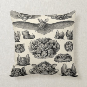 Coussin Chiroptera de Haeckel