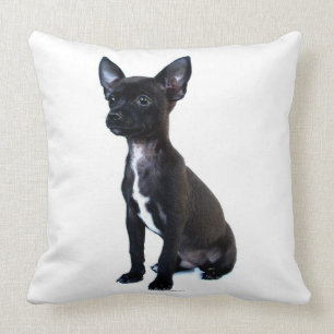 Coussin Chiwawa