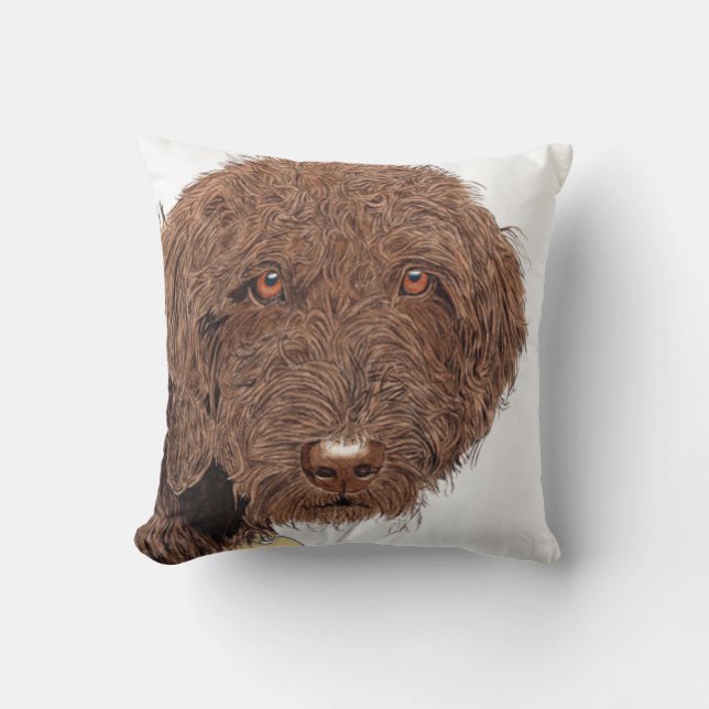 Coussin Chocolat Labradoodle (Recto)
