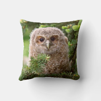 Coussin Chouette