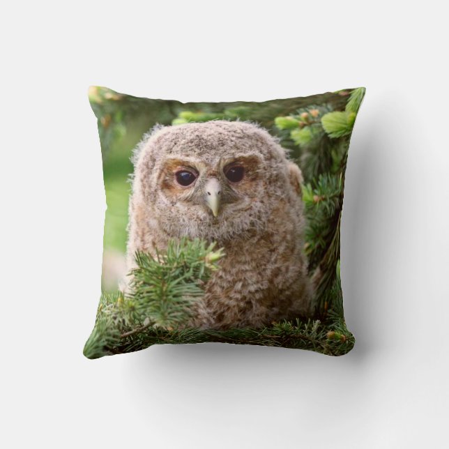 Coussin Chouette (Verso)