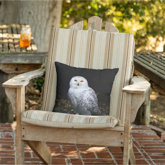 Coussin Chouette hivernale majestueuse (Chaise)