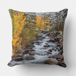 Coussin Chute le long du ruisseau Bishop, Californie