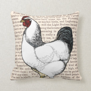 Coussin Classique vintage de pays de coq léger de Brahma