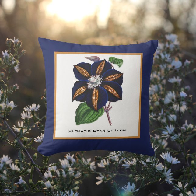 Coussin Clematis Star of India Illustration botanique (Créateur téléchargé)