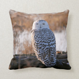 Coussin Cligner de l'oeil de hibou de Milou