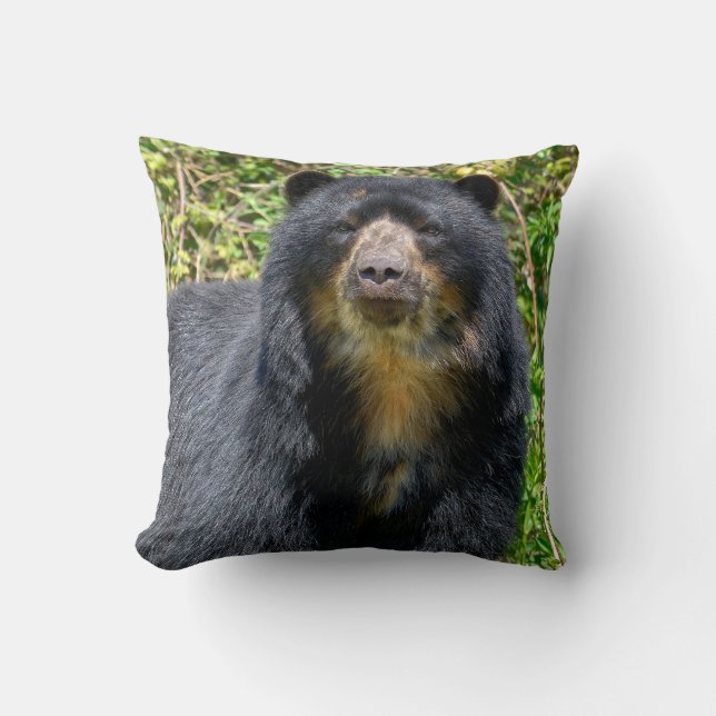 Coussin Closeup Ours andin (Recto)