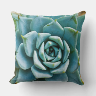 Coussin Closeup Succulent