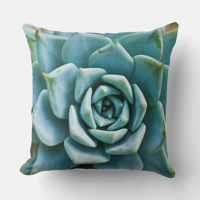 Coussin Closeup Succulent (Recto)