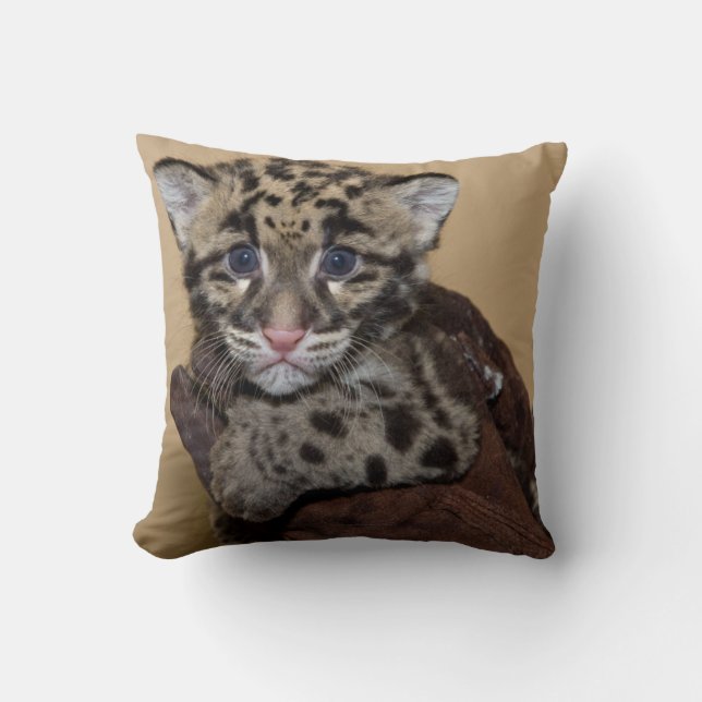 Coussin Club léopard nuageux (Recto)