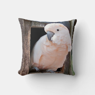Coussin Cockatoo Moluccan