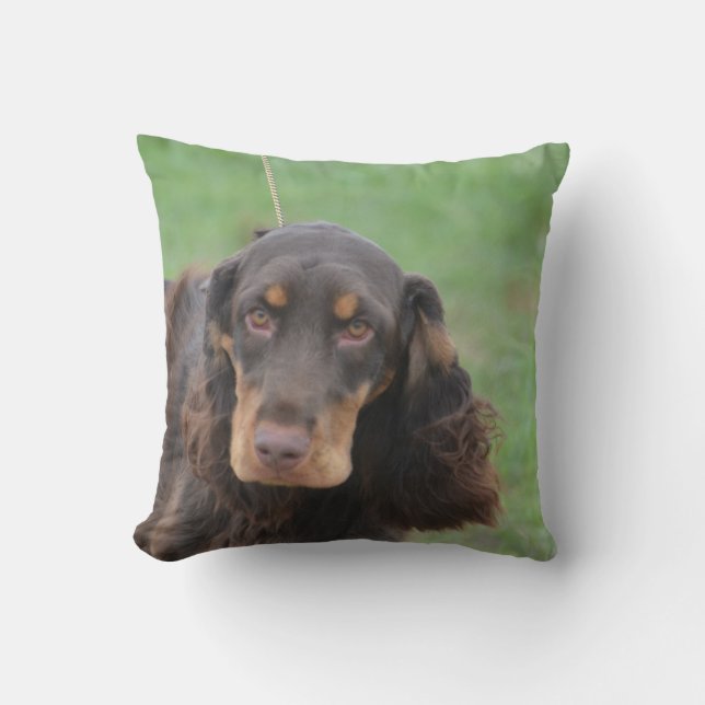 Coussin Cocker adorable (Recto)