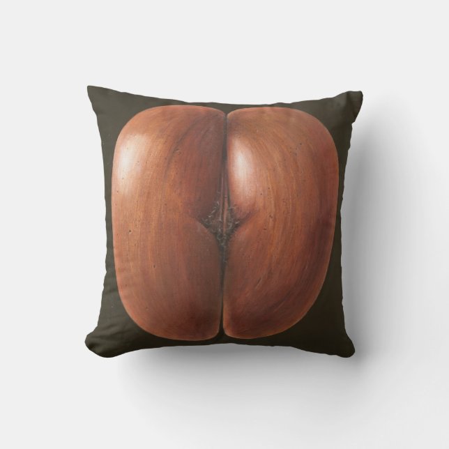 Coussin Coco de Mer Maldives 2012 (Recto)