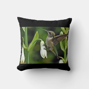 Coussin Colibri