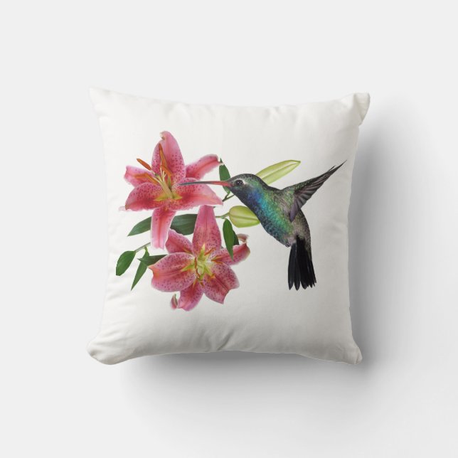COUSSIN COLIBRI (Recto)