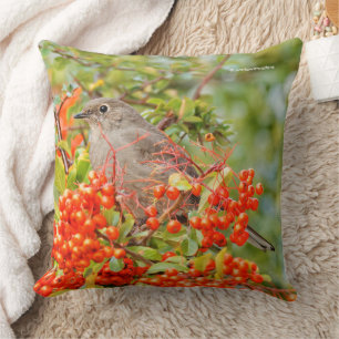 Coussin Colibri solitaire de Townsend à Pyracantha