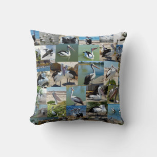 Coussin Collection De Pélicans Sur Un Collage Photo :