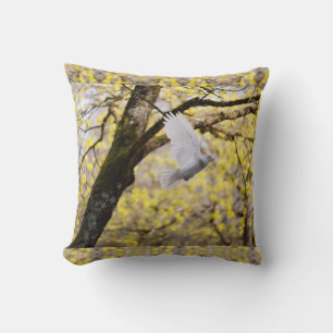 Coussin Colombe blanche mignonne Pigeon symbole d'amour et