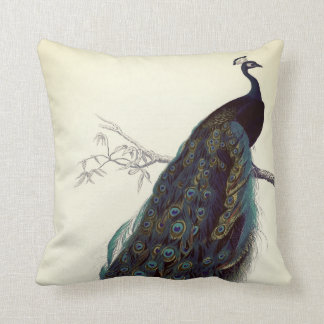 Coussin Colorant bleu ivoire Vintage