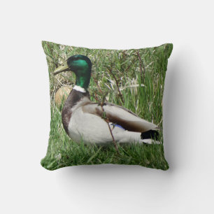 Coussin Colvert mâle B55 Canard siffleur dans l'herbe