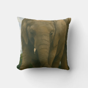 Coussin Compagnons éléphants dans la lumière de Savannah