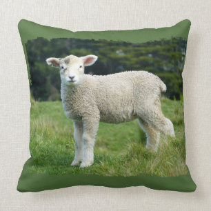 Coussin Conception d'agneau mignon et boueux dans un pré a