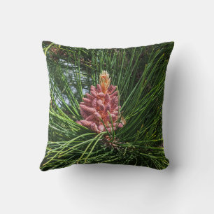 Coussin Cône de pollen de pin rouge (Pinus resinosa)