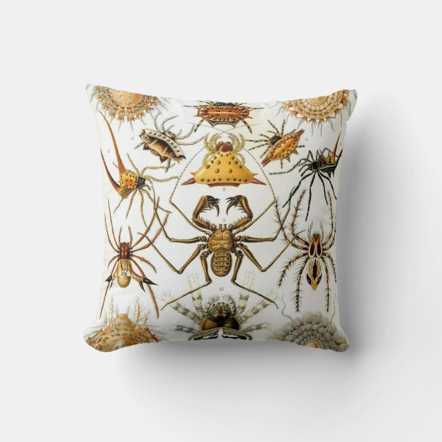 Coussin Confort d'anthropologie (Recto)