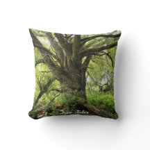 Contes d'arbres