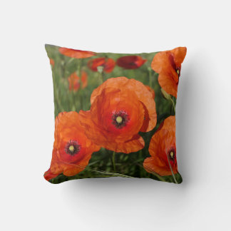 Coussin Coquelicots communs