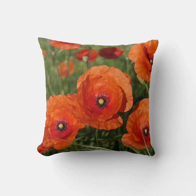Coussin Coquelicots communs (Recto)