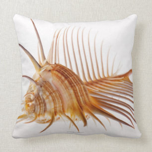 Coussin Coquille de Murex de peigne de Vénus (pectine de