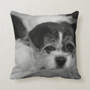 Coussin Costomizable ajoutent le carreau de photo d'animal
