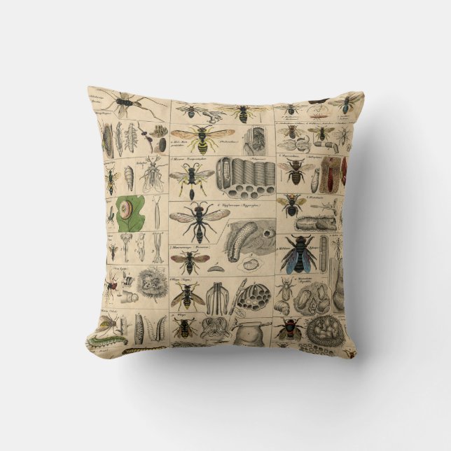 Coussin Coton vintage de réversible d'entomologie (Recto)