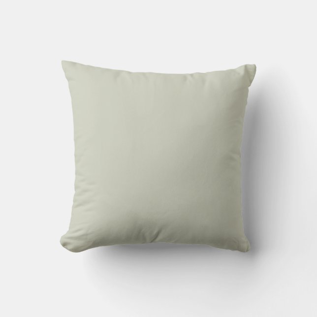 Coussin Couleur blanche (Recto)