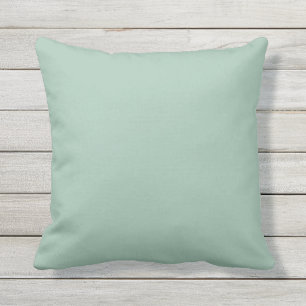 Coussin Couleur d'échelle Aqua Correspondante