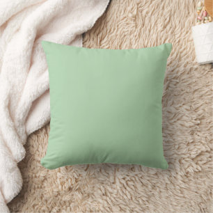 Coussin Couleur unie vert pistache